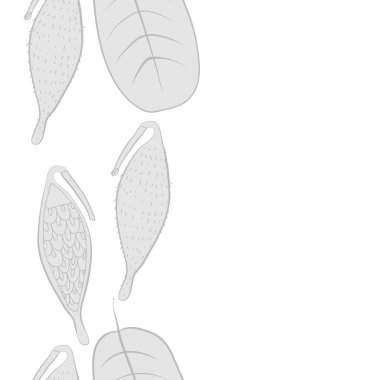 Soyut basit yaprakların kusursuz deseni