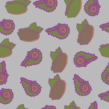 arka planda renkli parlak deniz kabukları seti