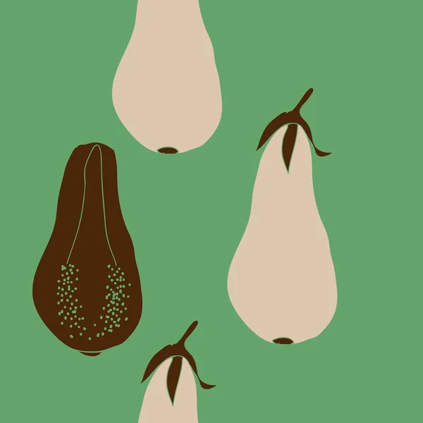 Anacardium occidentale Stock-Vektorbilder | Depositphotos