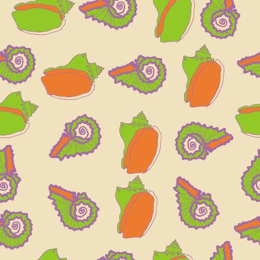 arka planda renkli parlak deniz kabukları seti