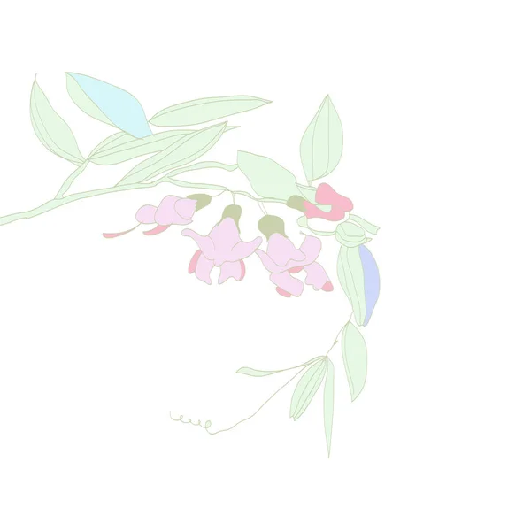 Ветвь Сладкого Гороха Цветные Цветы — стоковый вектор