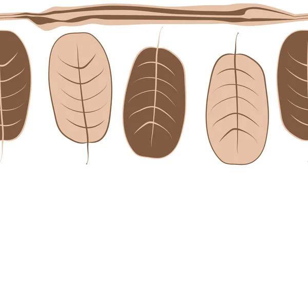 Ensemble Sans Couture Feuilles Arbre Sur Fond — Image vectorielle