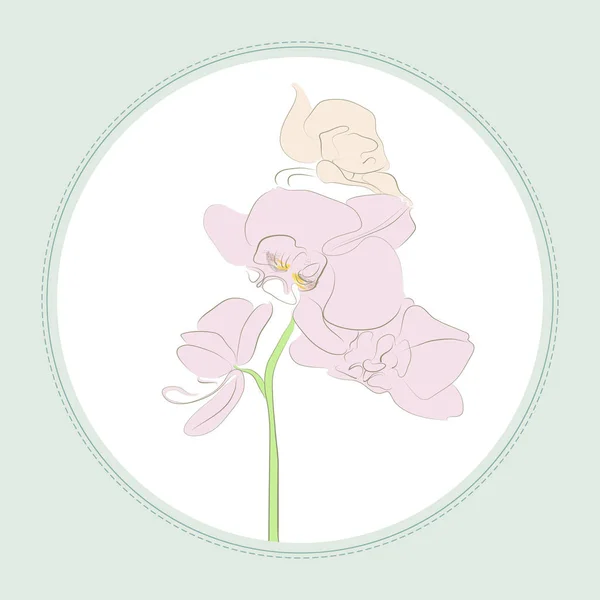 Karta Větví Orchidejí Náčrt Života — Stockový vektor