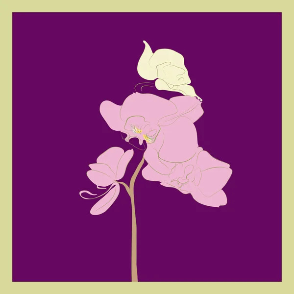 Karta Větví Orchidejí Náčrt Života — Stockový vektor