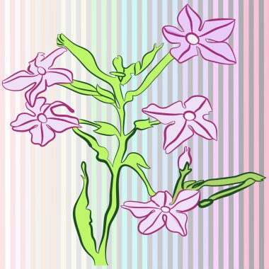 çizgili degrade gri arka plan üzerinde bitki. Hayattan skeç.