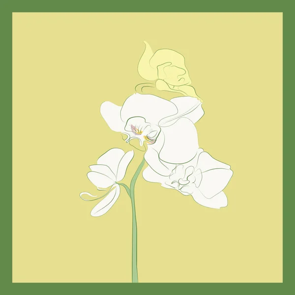 Tarjeta Con Rama Orquídea Bosquejo Vida — Vector de stock