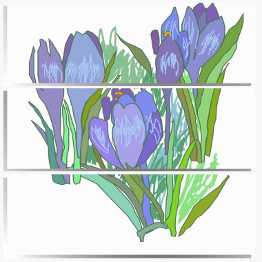 Beyaz arka plan ve kopyalama alanı üzerinde bahar crocuses ile kart seti.