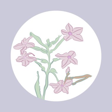 Renkli çiçek motifli kart