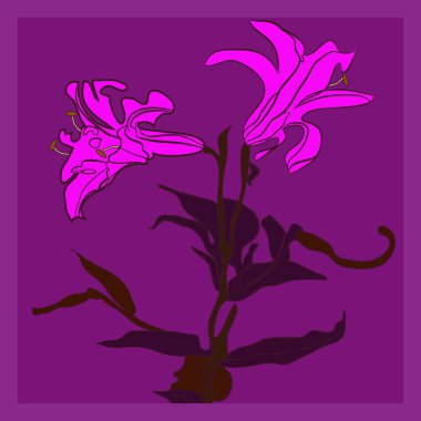 Renkli çiçek motifli kart