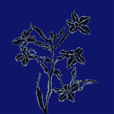 Soyut basit fraktalların kusursuz deseni