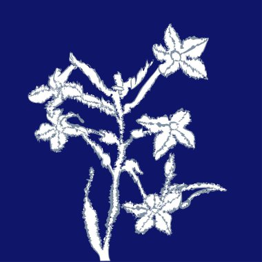 Soyut basit fraktalların kusursuz deseni