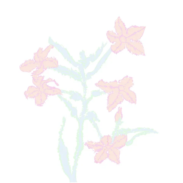 Planta Con Flores Hojas Olas Elipses Brotes — Archivo Imágenes Vectoriales