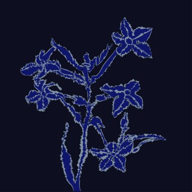 Soyut basit fraktalların kusursuz deseni