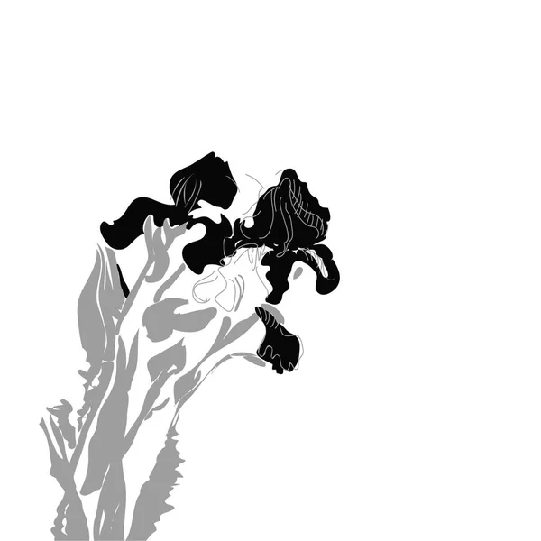 ภาพเวกเตอร ของไอร วอลล เปเปอร ตอล — ภาพเวกเตอร์สต็อก