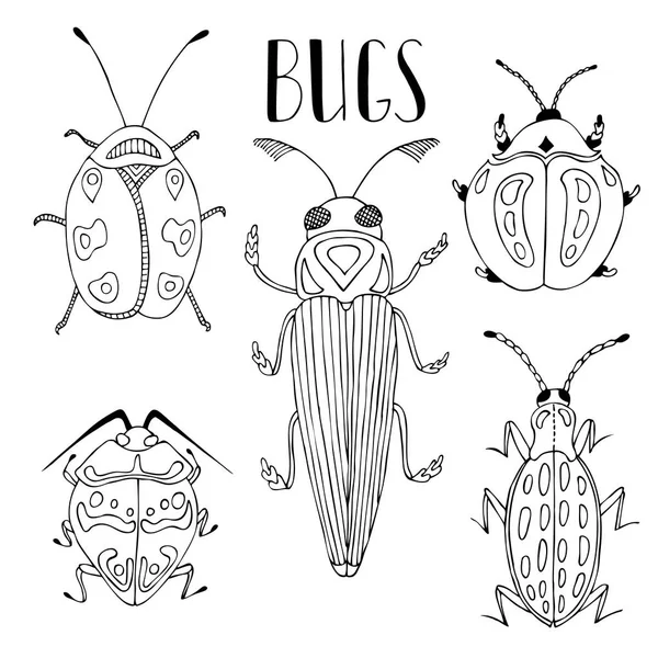 Un scarabée. Collecte de coléoptères vecteurs et d'insectes . — Image vectorielle