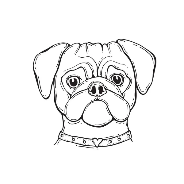 Pug Head Dog, pintado à mão, retrato. Preto e branco . —  Vetores de Stock