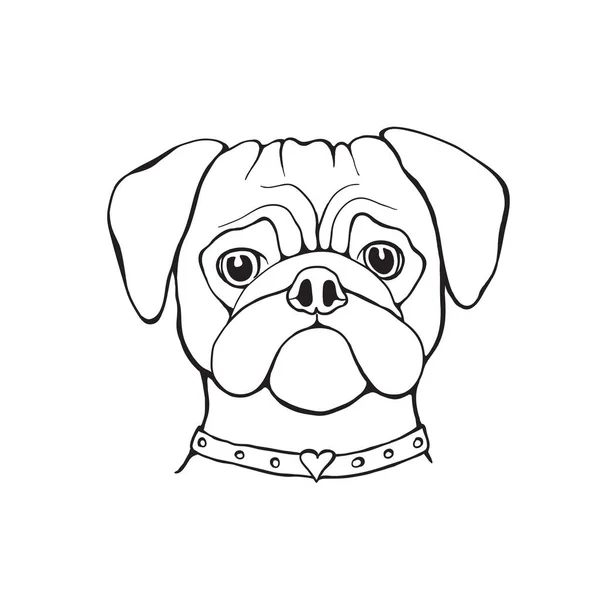 Hoofd hond pug, handgeschilderd, portret. Zwart-wit. — Stockvector