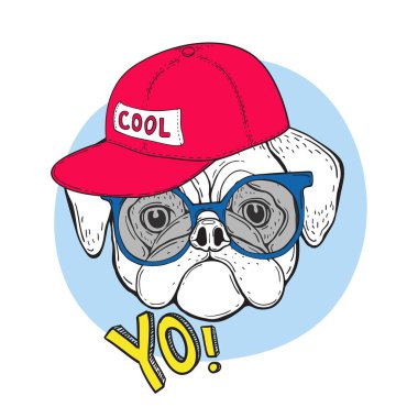 Güzel köpek pug mavi güneş gözlüğü ve yazıt ile kırmızı bere. Ve sloganı Yo. Vektör çizim için t-shirt tasarım.