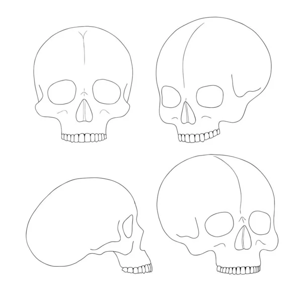 Un crâne humain sur fond blanc avec une seule ligne. — Image vectorielle