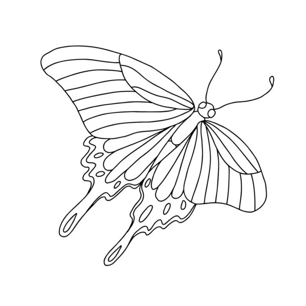 외따로 떨어져 있는 흑백 나비가 흰색 바탕에 있다. 벡터 일러스트. — 스톡 벡터