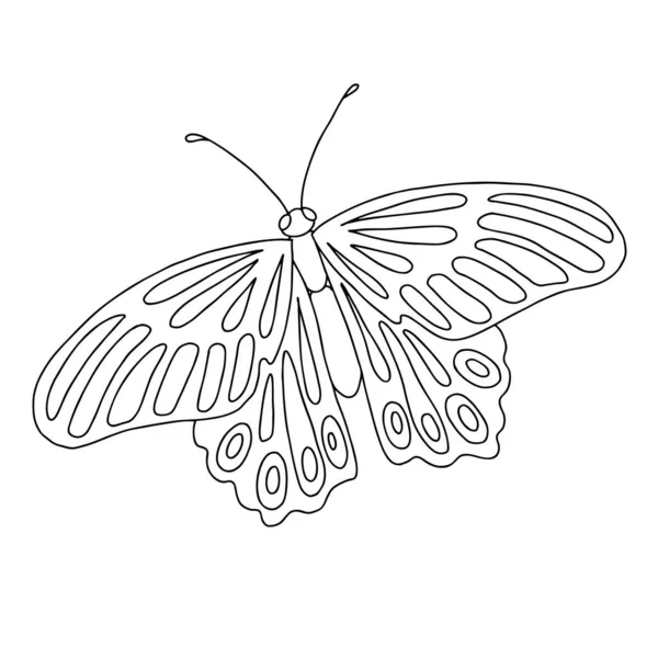 Mariposa aislada en blanco y negro sobre fondo blanco. Ilustración vectorial. — Vector de stock