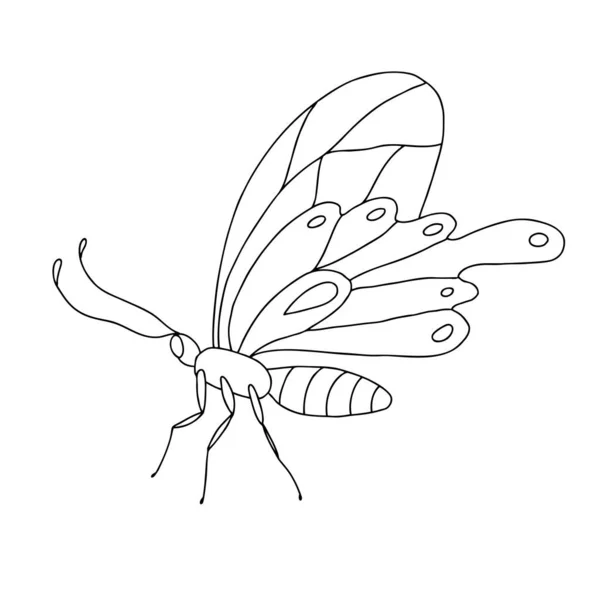 Mariposa aislada en blanco y negro sobre fondo blanco. Ilustración vectorial. — Archivo Imágenes Vectoriales