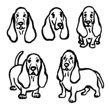 El yapımı tuhaf Basset av köpekleri farklı pozlarda. Vektör illüstrasyonu.