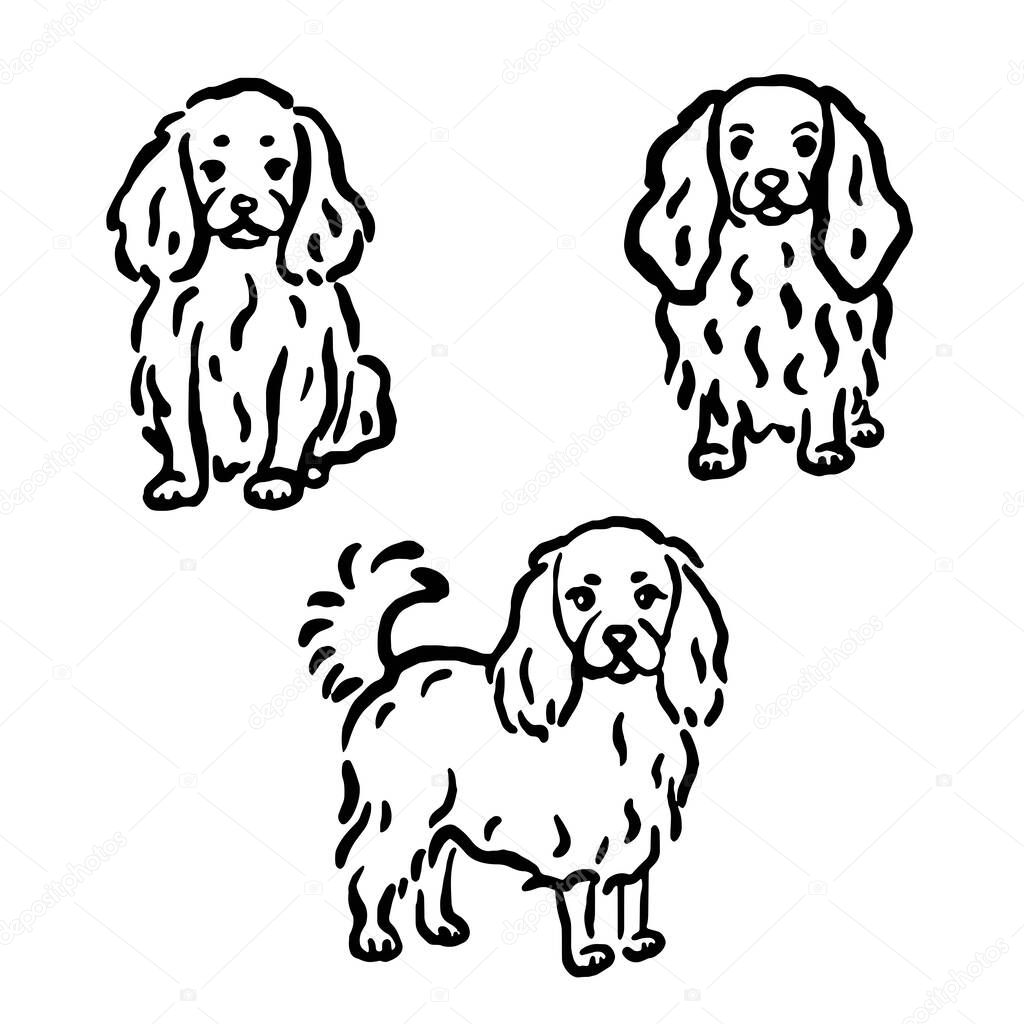 Hand-drawn whimsical fluffy dogs in different poses. Vector illustration.