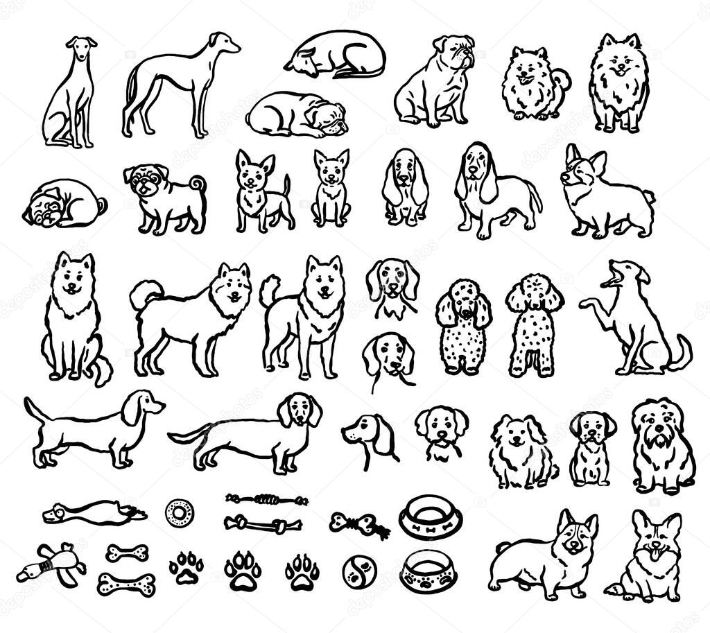 Hand-drawn whimsical dogs of different breeds with accessories. Vector illustration.