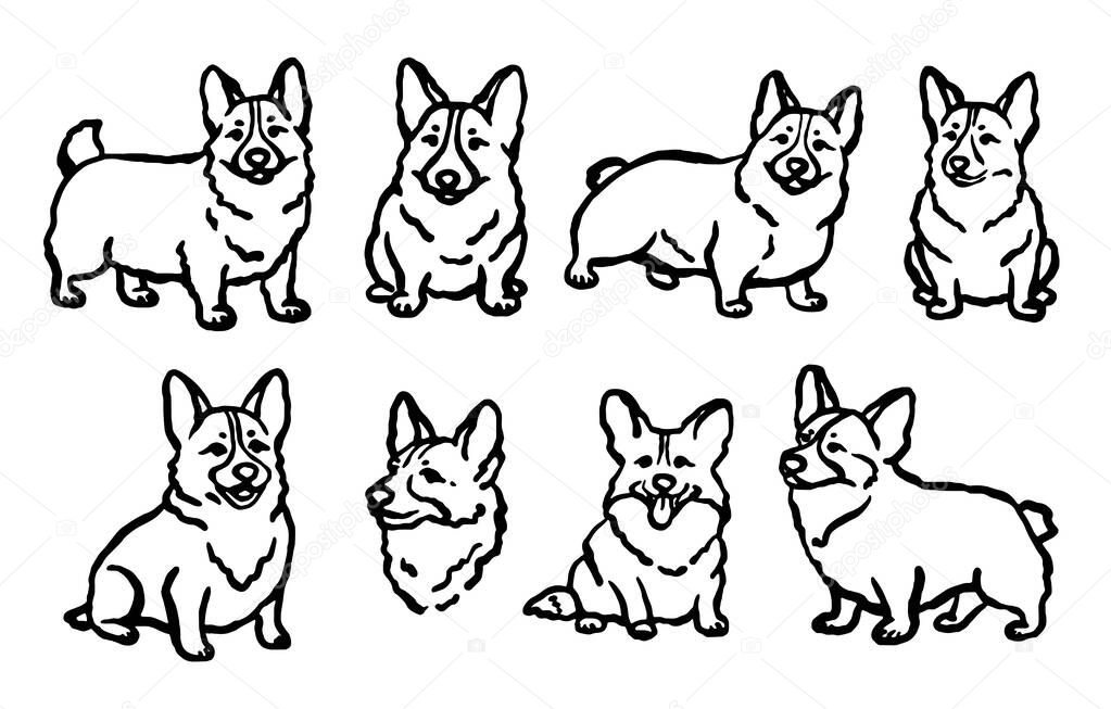 Hand-drawn whimsical Welsh Corgi dogs in different poses. Vector illustration.
