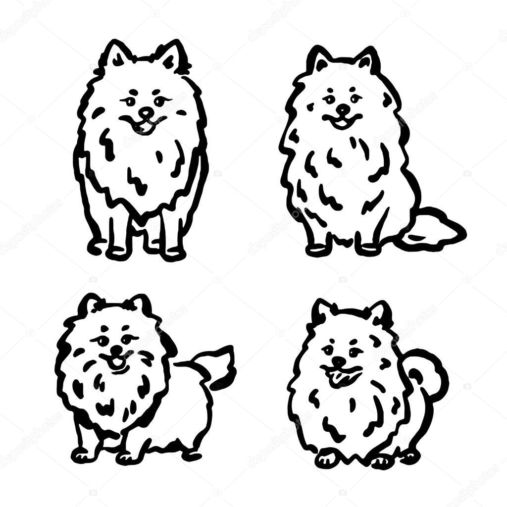 Hand-drawn whimsical Spitz dogs in different poses. Vector illustration.