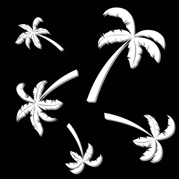Zufällig Angeordnete Weiße Und Graue Palmen Auf Schwarzem Hintergrund Texturmuster — Stockvektor