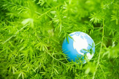 Küresel Isınma, Çevre ve Ekoloji Kavramı. min yakın çekim