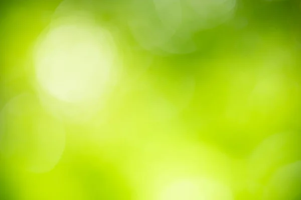 Streszczenie Nieostre Rozmazane Zielone Tło Liści Świetle Słonecznym Bokeh Przestrzeń — Zdjęcie stockowe