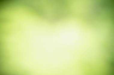 Özet bulanık ve bulanık yeşil yaprak arkaplan güneş ışığı altında arka plan doğal bitki manzarası, ekoloji duvar kağıdı ve kapak konsepti olarak kullanılarak bokeh ve kopyalama alanı ile.