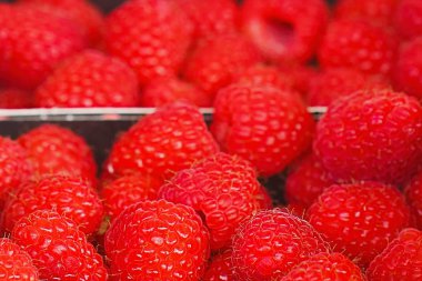 Kırmızı ahududu bulanık arka plan.