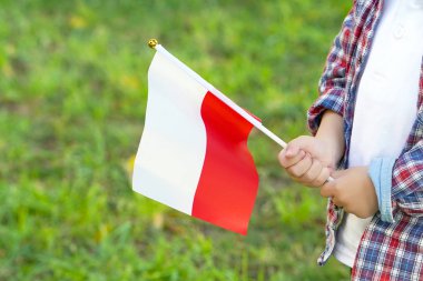 Küçük çocuk elleri bayrak tutun