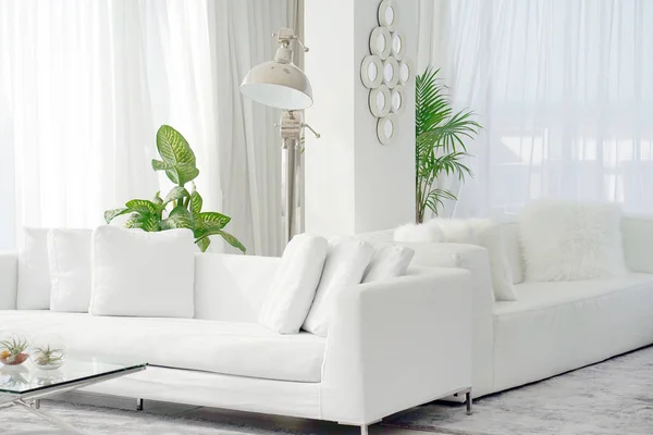 White room with sofa. — Stock Photo, Image