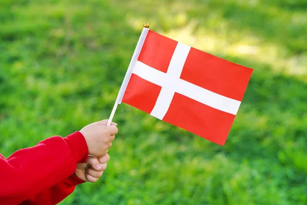 Little Girl ręce trzymać Danii flag — Zdjęcie stockowe