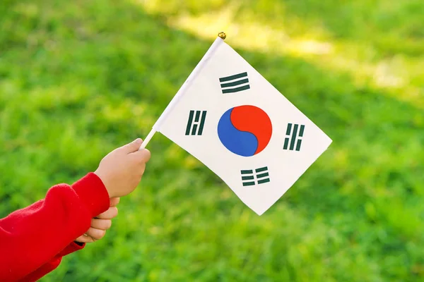 어린 소녀의 손이 한국 국기를 들고 있다. — 스톡 사진
