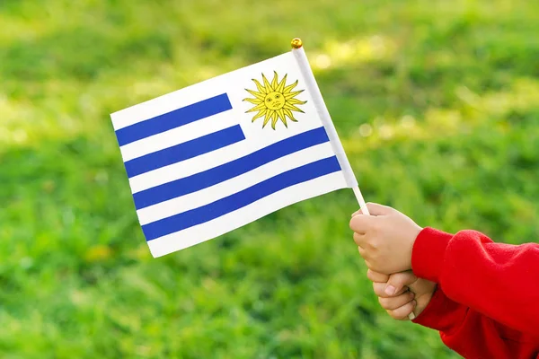 Little girl hands hold Uruguay flag