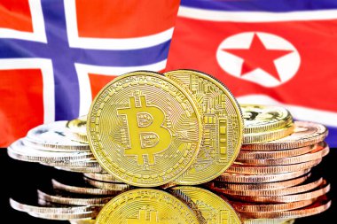 Norveç ve Kuzey Kore bayrağı arka planda Bitcoins