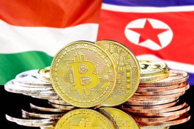 Macaristan ve Kuzey Kore bayrak arka plan üzerinde bitcoins