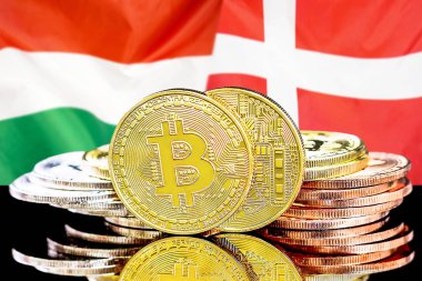 Macaristan ve Danimarka bayrağı arka planda bitcoins