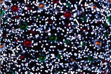 Bokeh Noel 'i güzel, parlak Noel ışıklarını bulanıklaştırdı. Soyut çok renkli bokeh arkaplanı.