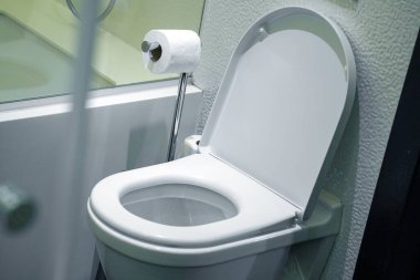 Lüks oteldeki tuvalet kâğıdı tutacağının üzerinde tuvalet kapağı ve rulo..