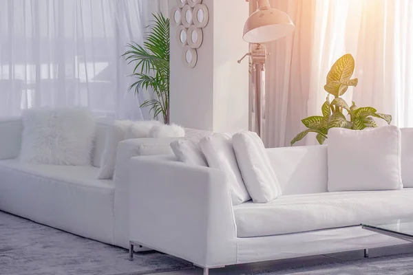 Beautiful Living Room White Sofa White Concept Living Room Interior — Stock Photo, Image
