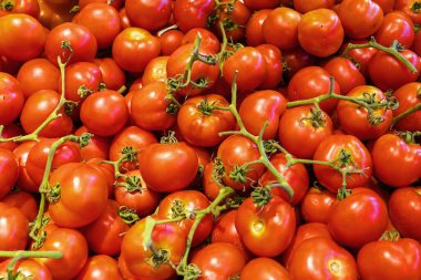 Kırmızı domates arka planı. Bir grup domates. Birçok kırmızı domates arka planda. Seçici odak