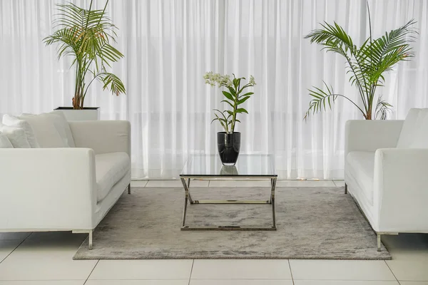 Schönes Wohnzimmer Mit Weißem Sofa White Concept Wohnzimmer Interieur Modernes — Stockfoto