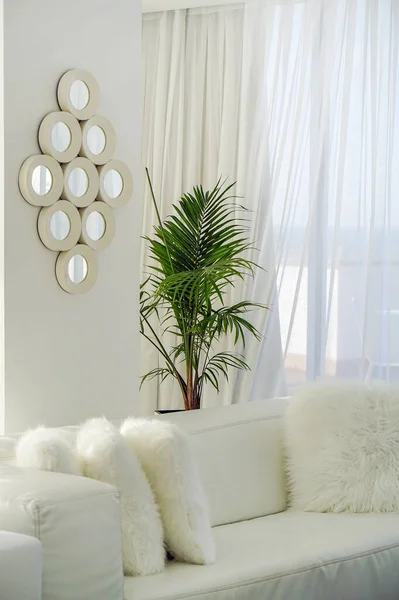 Living Room White Sofa White Concept Living Room Interior — Stock Photo, Image